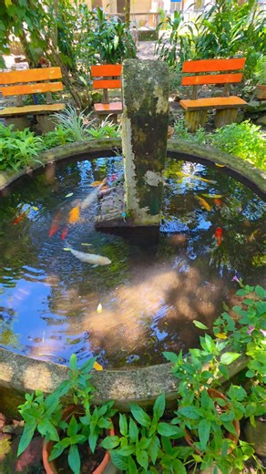 Duyog - "Amahan Namo" Music by Fr. Ricky R. Bermudez, MSC. Hinaut makatabang kini. 🙏❤️🙏 #Duyog #AMAHANNAMO #awitsimbahan #FrRicky | Ricky R. Bermudez