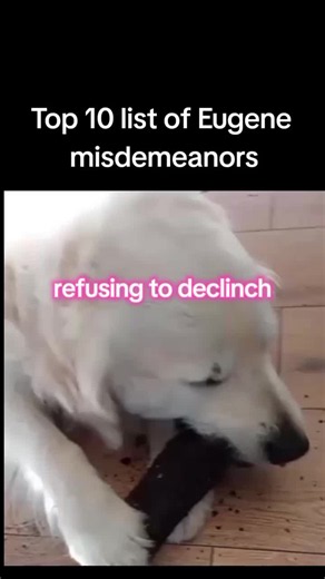 barneypleasesatirenow (@barneypleasesatirenow)’s video of eugene please