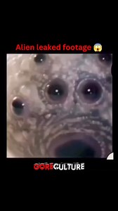 What do you guys think? 😱 #scary #aliens #paranormal #OMG #leaked #watch #creepy #trendingreelsvideo | GoreCulture