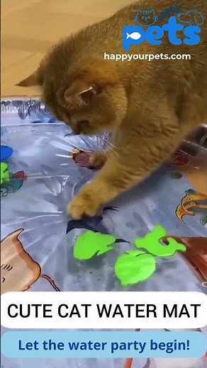 Interactive Cooling Water Play Mat for Cats & Dogs | Summer Fun & Comfort! #happypets #petcare