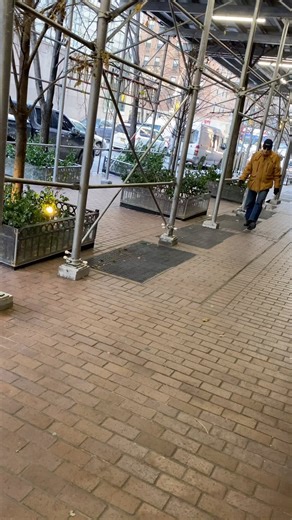 New Yawk Talk If Ya Understan | Andrew Dice Clay ( Official )