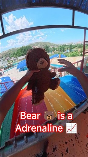 Bear is a Adrenaline 📈 of colorful slides || #foryoupage