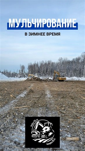 Мульчирование в зимнее время