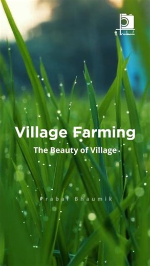 Farming The Beauty of Village | Village Farming | Agriculture | Farming Documentary