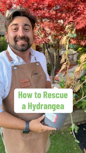 214K views · 2.3K reactions | Today Daily Gardening tips will show...