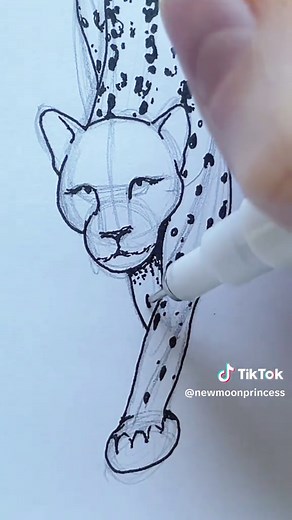 How to Draw a Cheetah/Jaguar Without Legs (Art Tutorial)