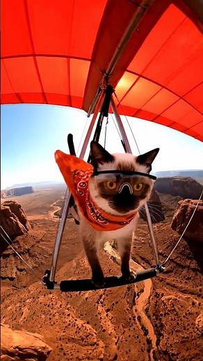 The Most Epic Cat Hang-Glider Cinematic Ever Created (8K Ultra Realistic Worlds)