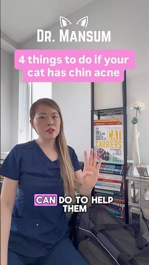 What to do if your cat has chin acne 💡 Vet tip