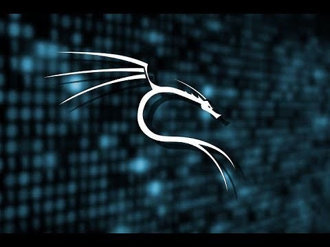 Kali Linux auf USB installieren (Ganzes Tutorial) Deutsch