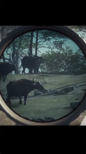 Puma drives a HUGE BUFFALO my way! theHunter Call of the Wild
