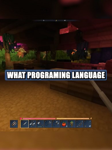 Understanding Hytale's Programming Language Usage