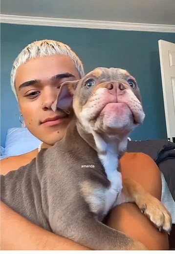 Los Perros Más Lindos y Bravos con Drew Venegas
