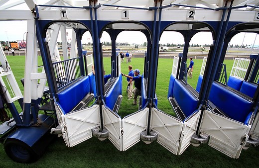 Today’s Free Woodbine Winning Horse Picks [2025]