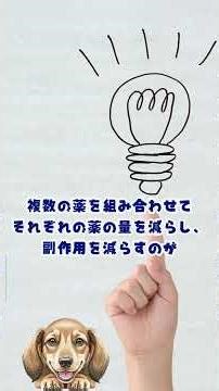 【不安を解消！？】ダックスフンド,ショコラちゃんの去勢手術に密着 採血、留置、気管挿管、麻酔、術後の裏側を公開 避妊・去勢を悩む飼い主さん必見【獣医師・愛玩動物看護師・動物病院・ペット・犬・猫】