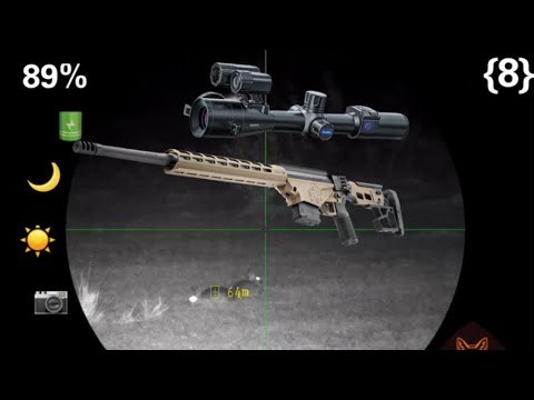 Ruger Precision 22LR: Ultimate Budget Rabbit Rifle