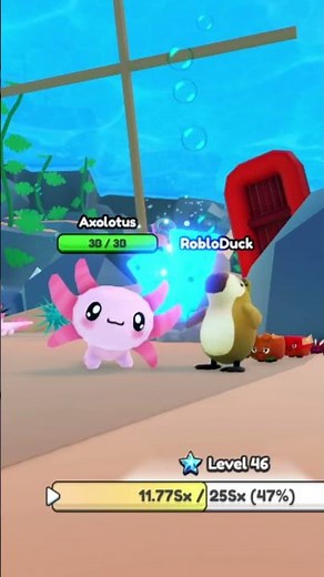 🍍🐧🦦 Young Capyguin 34 Level Capybara Evolution Roblox nibbles fruits and animals #capybara #roblox