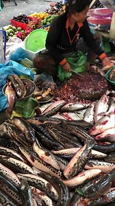 Good freshwater fish are big and small #rosrorn #fish #market #fishmarket | Ros Rorn - រស់ រ៉ន
