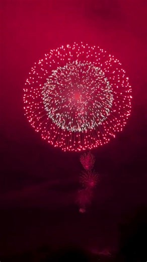 Fireworks 121#SkyBoom #Fireworks #PháoHoa #FireworksShow