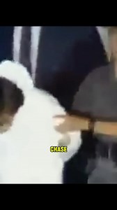 10 Serial Killers Who Were Caught By Accident #celebs #movie #longvideo #actors | Stars 1970s