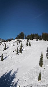 Beautiful flyover of the Mt. Shasta Ski Park. 📹: Visit Mt Shasta | Active NorCal