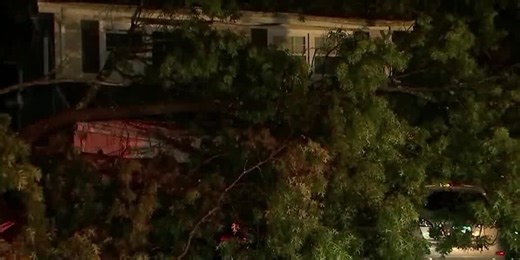Parents say they pulled drywall off their 3-year-old son after a tree crashed into their home