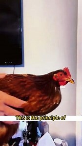 29K views · 538 reactions | Must try these science principles #science | Science tricks at home | Facebook