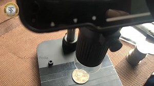 Mule coin | The Currencypedia