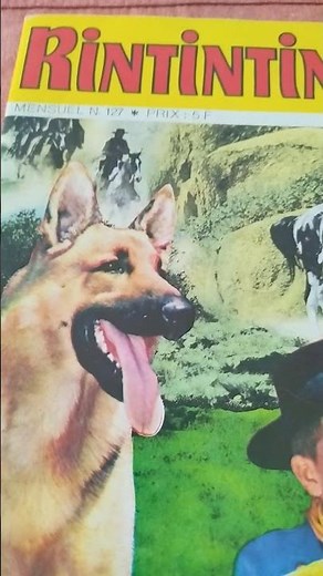 rintintin BD 1980