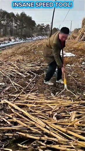 Ultimate DIY Brush Rake Tool – Collect Dry Stalks in Seconds! 🔥