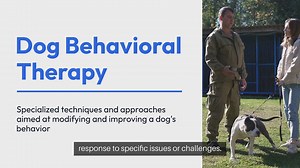 Dog Behavioral Therapy