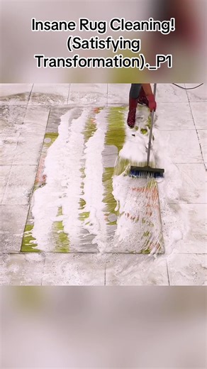 Insane Rug Cleaning: A Satisfying Transformation