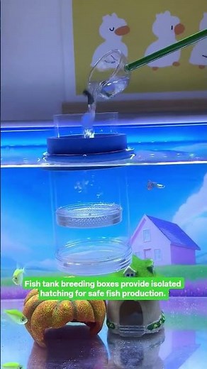 Fish tank breeding boxes provide isolated hatching for safe fish production. #breedingbox #tools