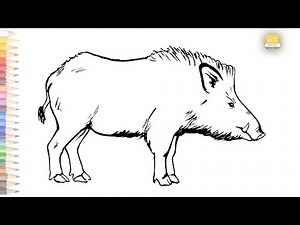 Wild boar drawing easy 01 || How to draw A Wild boar drawing step by step