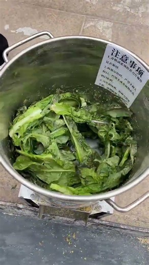 Smart Vegetable Chopper for Poultry Farming | Boost Chicken, Duck & Goose Growth Fast!#SmartFarming