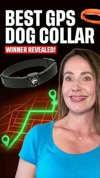 Best GPS Dog Collar? SpotOn or Halo