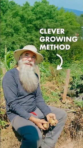 Growing Food Directly in a Compost Pile + Straw Bales