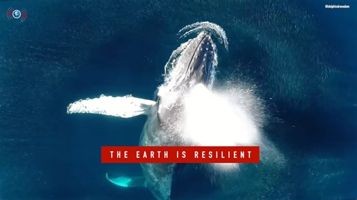 24K views · 567 reactions | As we bid farewell to #EarthMonth, we...