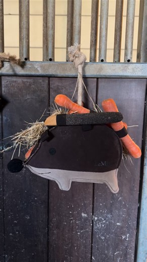 Noblesse & Didianne ✨🐴 | Bles is helemaal blij met dr nieuwe speelgoedje voor in stal 🦔 Normaal doet ze er niks mee, maar in de elastiekjes van het egeltje kun je... | Instagram