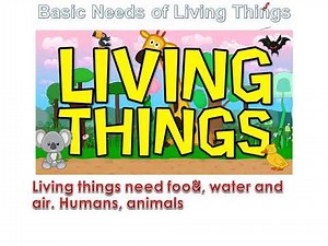 Science Year 1 Basic Needs of Living Things