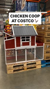 🐓 Chicken Coop at Costco! How cool! This steel frame chicken coop is weather resistant, includes a gate and ventilation window, a nesting box, pull out tray for cleaning, and a flower box! 😍 This comfortably houses about 2-3 chickens for $299.99! #costco #chickencoop #costcofinds | Costco Buys