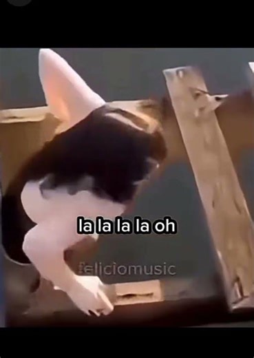 Josy foi mostrar a sua força e se fud## kkkkk #memes #shorts