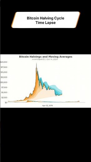 Timelapse of Bitcoin's growth