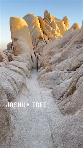 9.5K views · 3.9K reactions | Visit Joshua Tree on Reels | Facebook