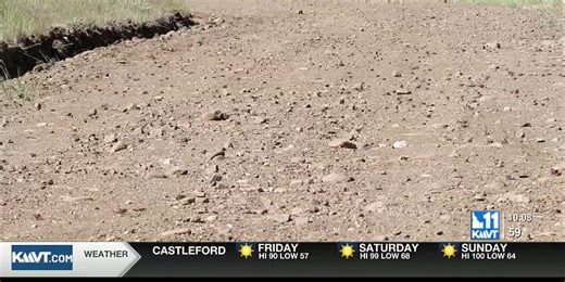 Mormon crickets make their return to Idaho