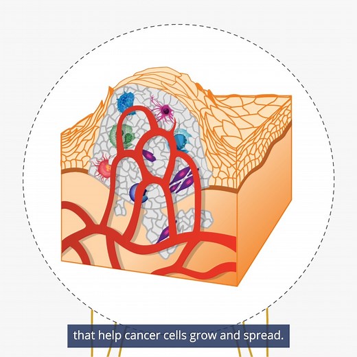 Watch this video to learn about how cancer cells grow and spread, and how they can be targeted by certain treatments. https://www.cancer.gov/about-cancer/understanding/what-is-cancer | National Cancer Institute