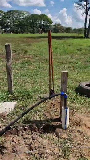 Solar-powered plantation irrigation system with water pumps