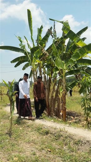 Setyo Wahono on Instagram: "Merawat semangat perjuangan para pendahulu Bojonegoro. Semoga semangatnya bisa selalu kita kenang dan kita refleksikan dalam pribadi, juga dalam semangat Hari Jadi Bojonegoro ke 348. Lokasi : Makam Petilasan Angling Dharma & Makam Ki Bagus Lanching Kusumo."