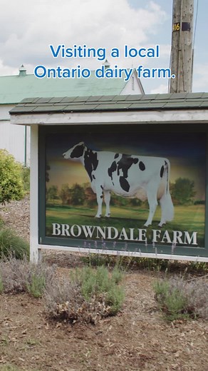 5.2K views · 39 reactions | Visit an Ontario dairy farm with us to learn more about where local dairy comes from and the farm families who produce it! #cows #dairy #farming #milk #ontariofarm #DairyDoneRight | Dairy Farmers of Ontario | Facebook