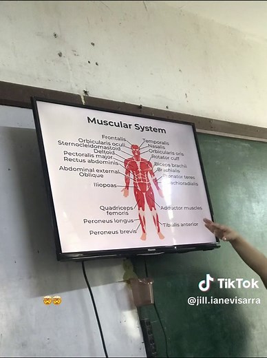 Exploring the Colossal Titan in Attack on Titan