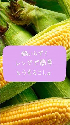 夏の主役！レンジで簡単とうもろこし #shorts #料理